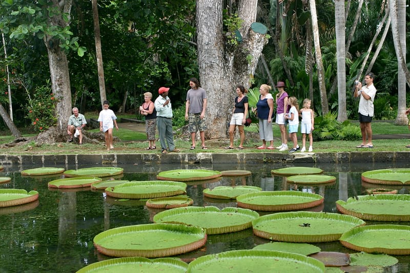 2. Ile Maurice : un tour de l'île à l'horizontal (HRZ)