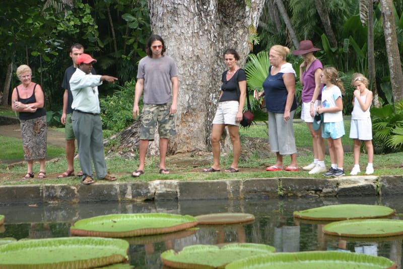2. Ile Maurice : un tour de l'île à l'horizontal (HRZ)