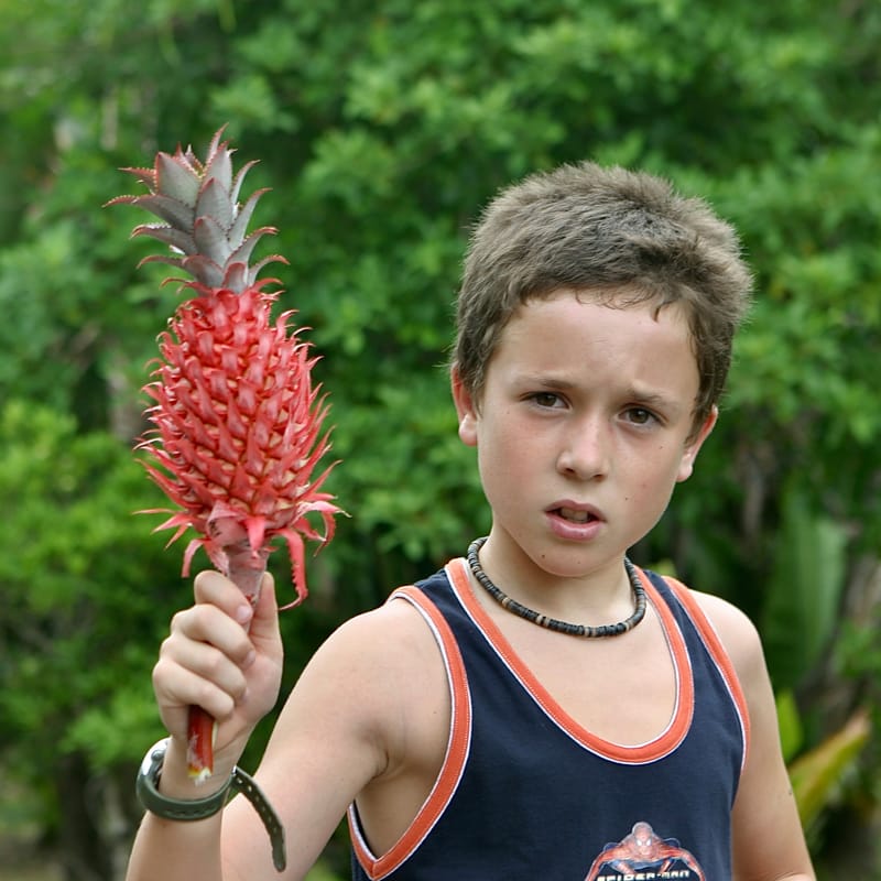 2. Ile Maurice : un tour de l'île à l'horizontal (HRZ)