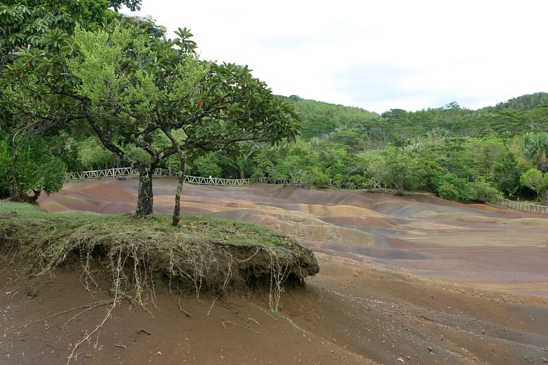 2. Ile Maurice : un tour de l'île à l'horizontal (HRZ)