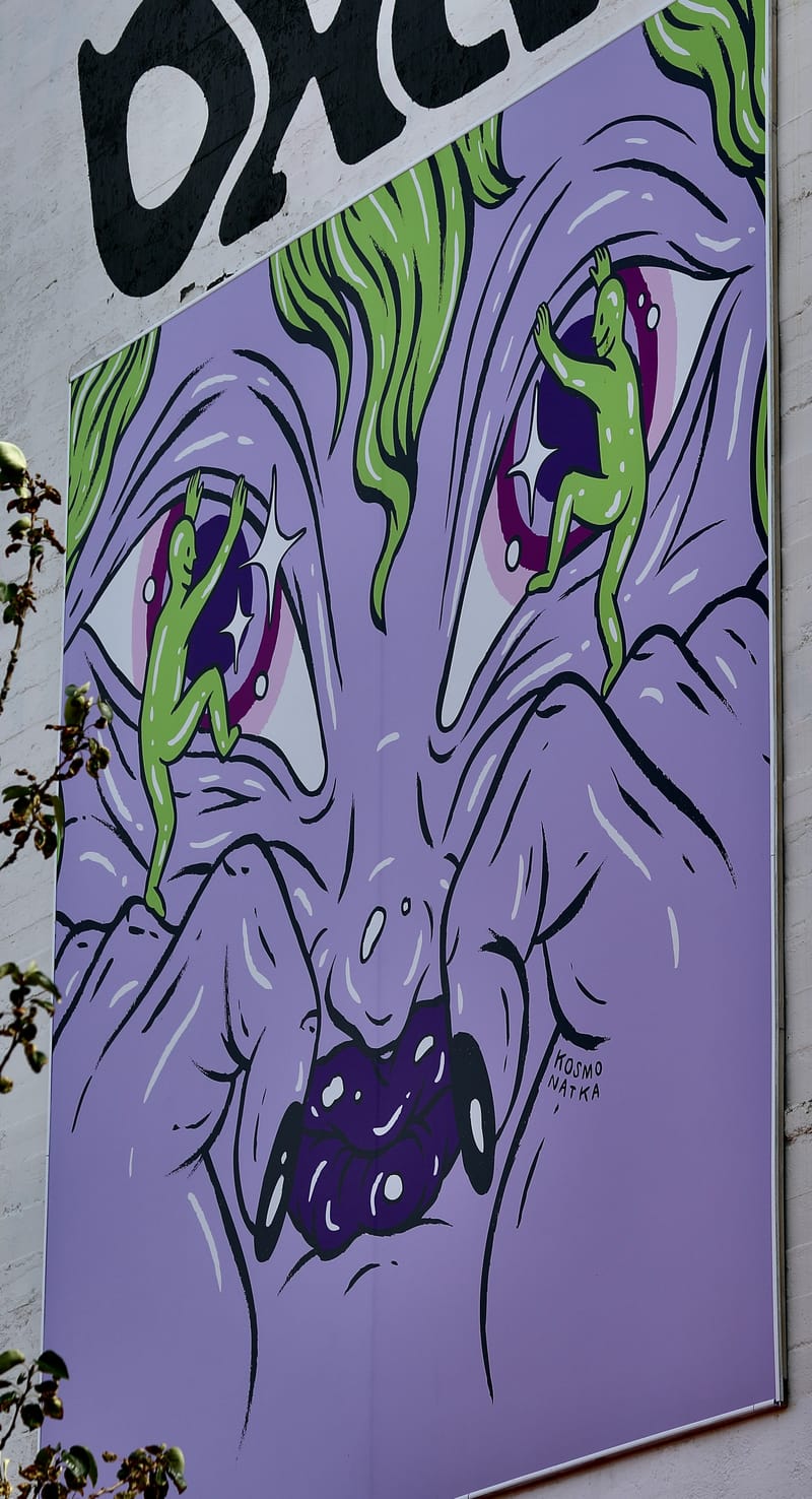 17. Motifs, tableaux, enseignes Islandaises (VTL)