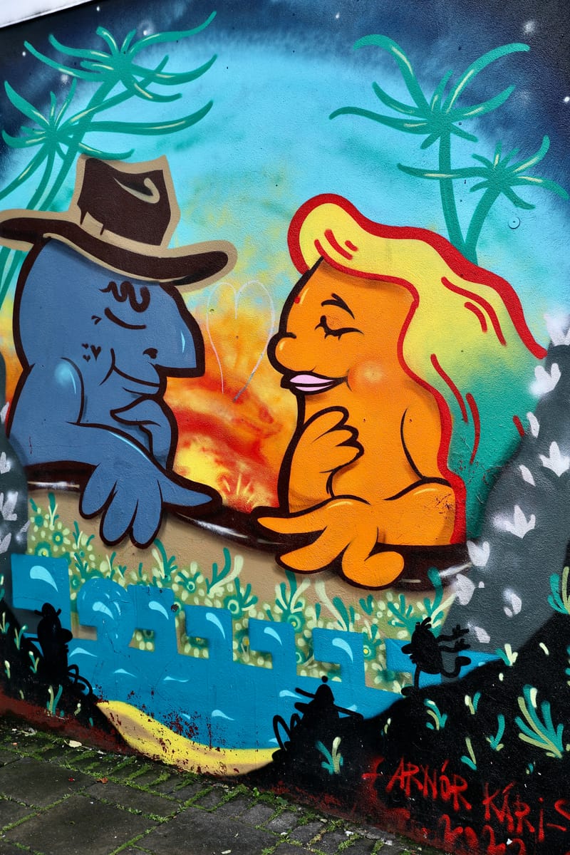 17. Motifs, tableaux, enseignes Islandaises (VTL)