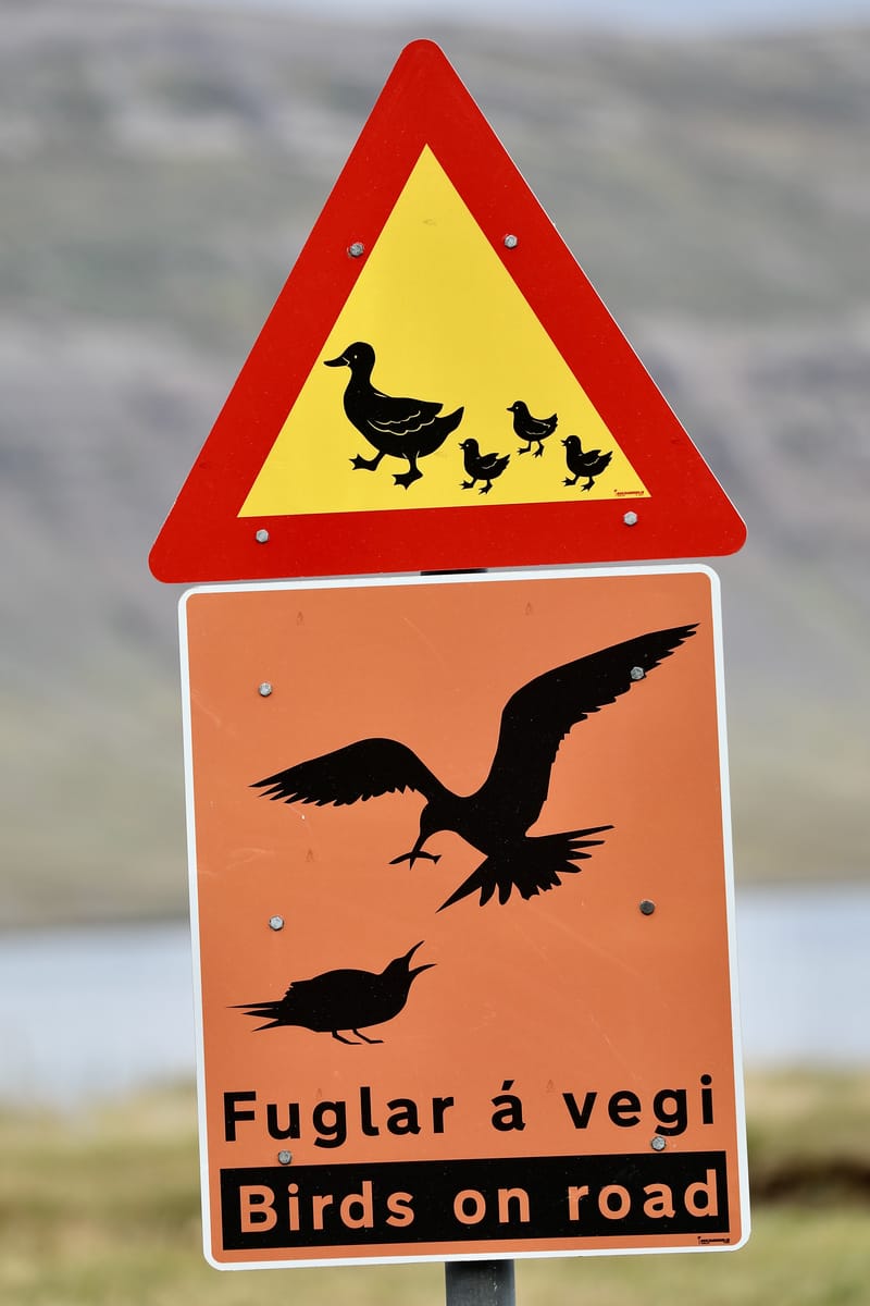 17. Motifs, tableaux, enseignes Islandaises (VTL)