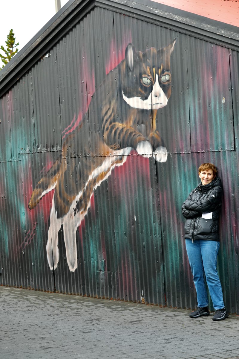 17. Motifs, tableaux, enseignes Islandaises (VTL)