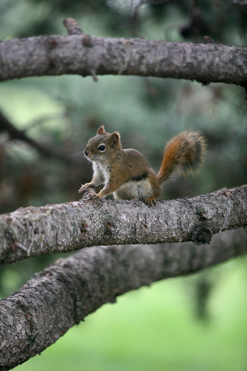 1. Edmonton City chez nos amis RITCHIE