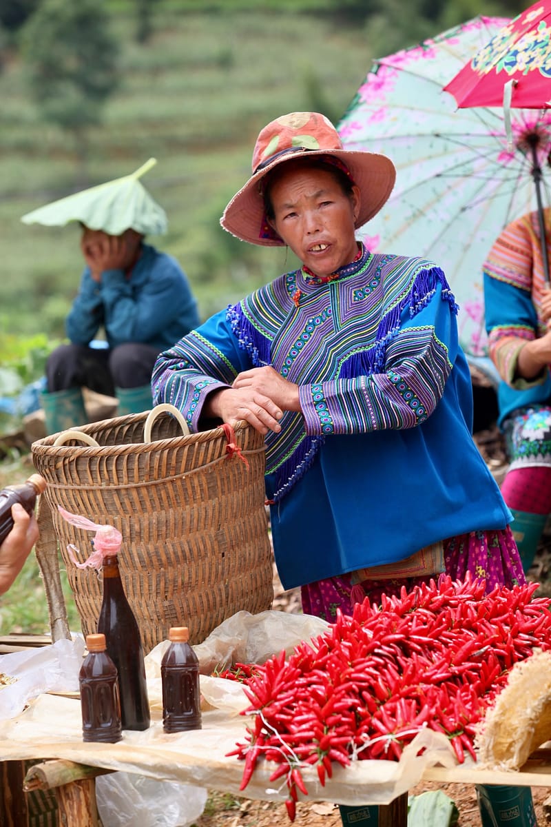 1. Les HMONGS : Marché de Bac Ha