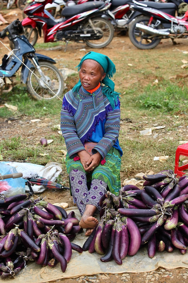 1. Les HMONGS : Marché de Bac Ha