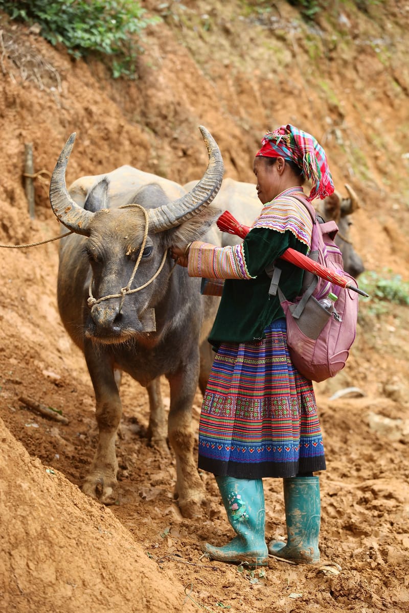 1. Les HMONGS : Marché de Bac Ha