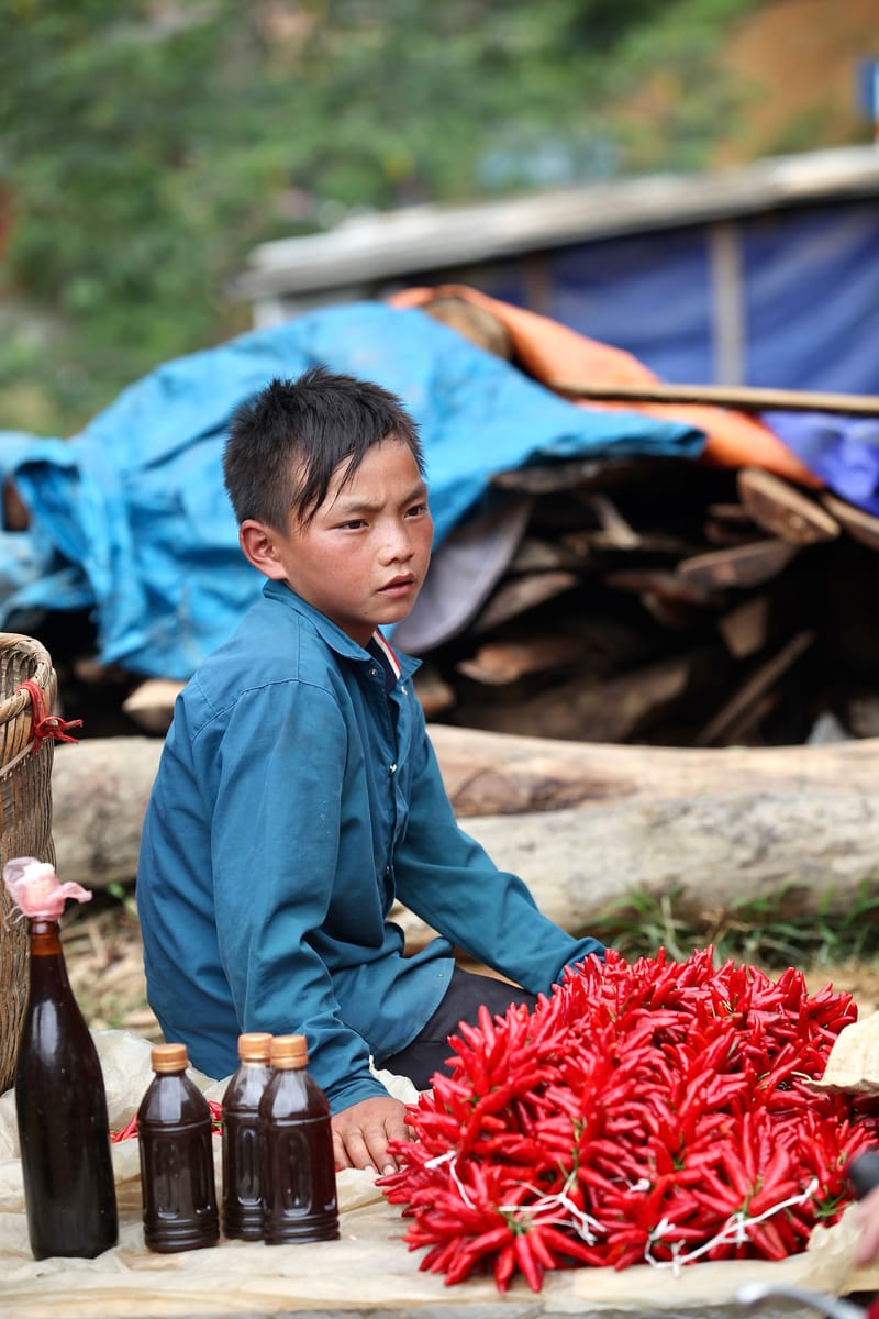 2. Hmongs 2 : les enfants de Bac Ha