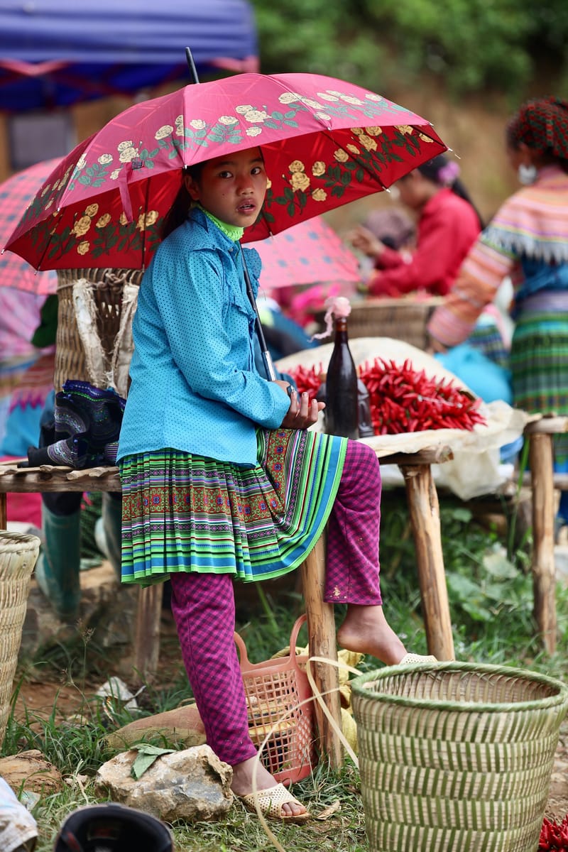 2. Hmongs 2 : les enfants de Bac Ha