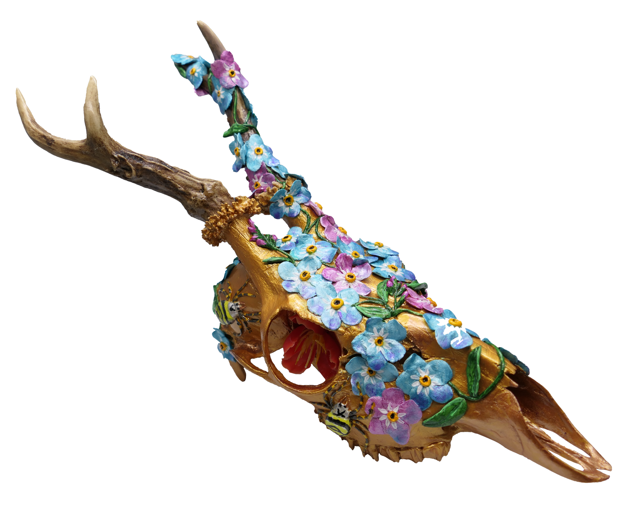 Chevreuil avec myosotis