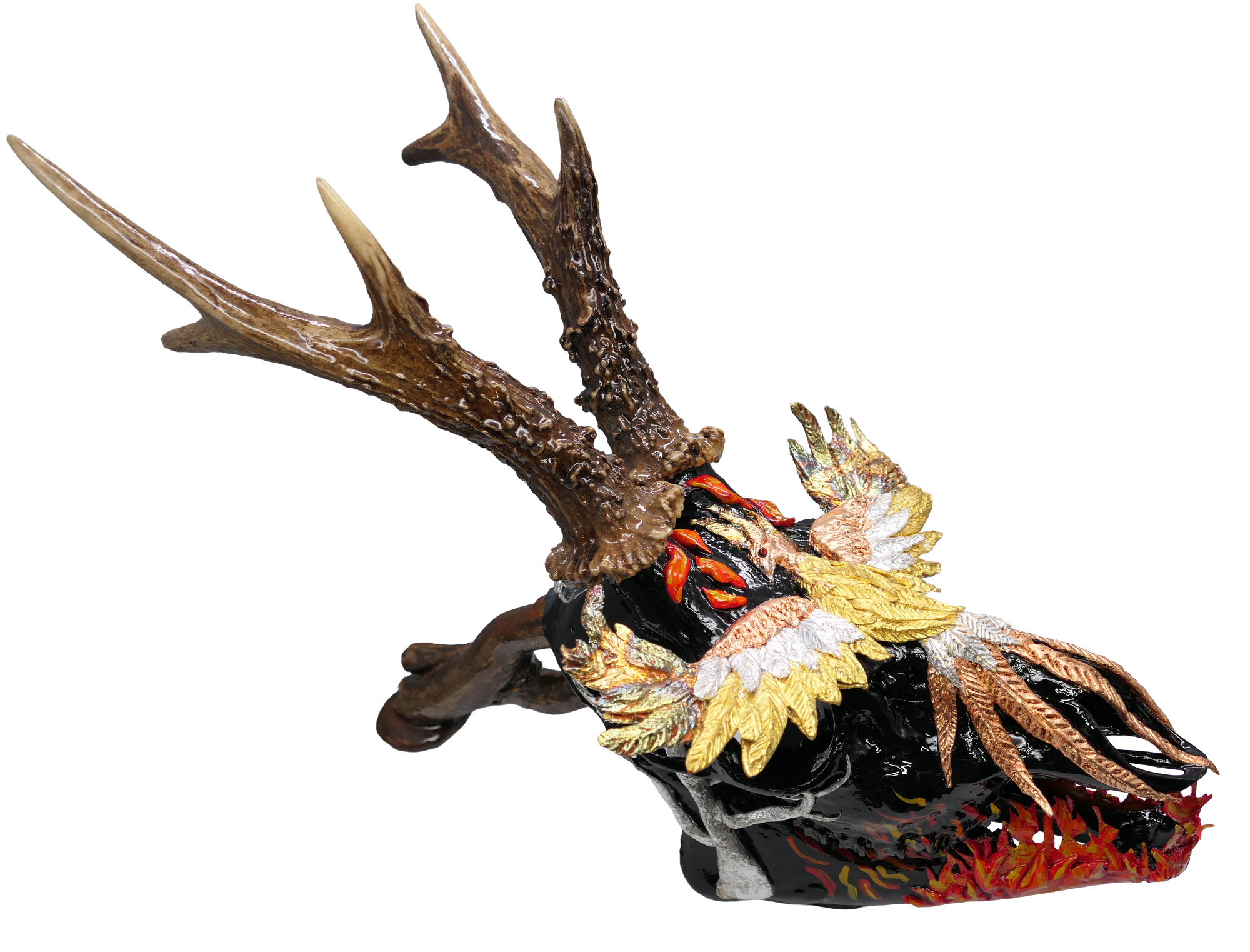 Chevreuil avec Phoenix