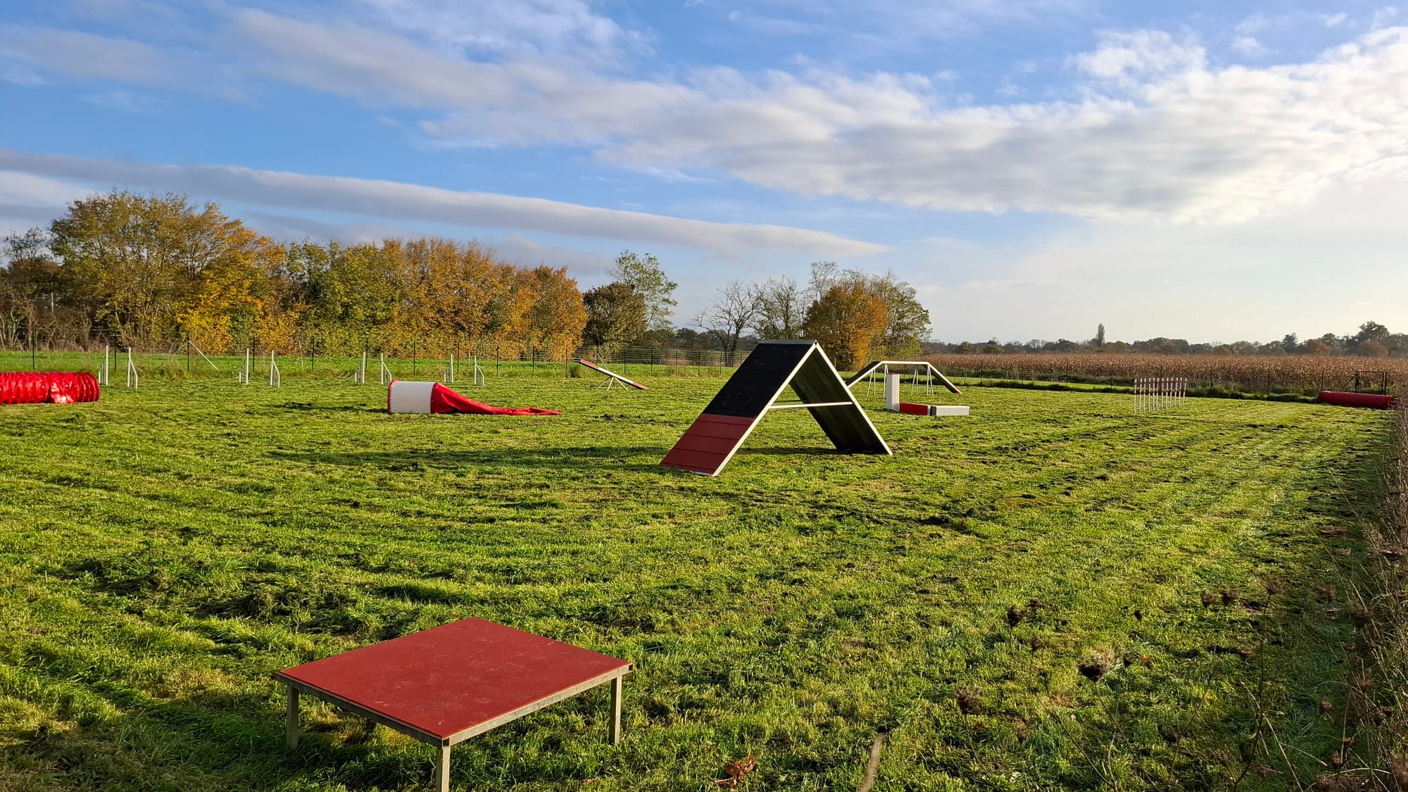 parcours d'agility
