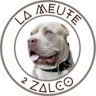 LA MEUTE 2 ZALCO