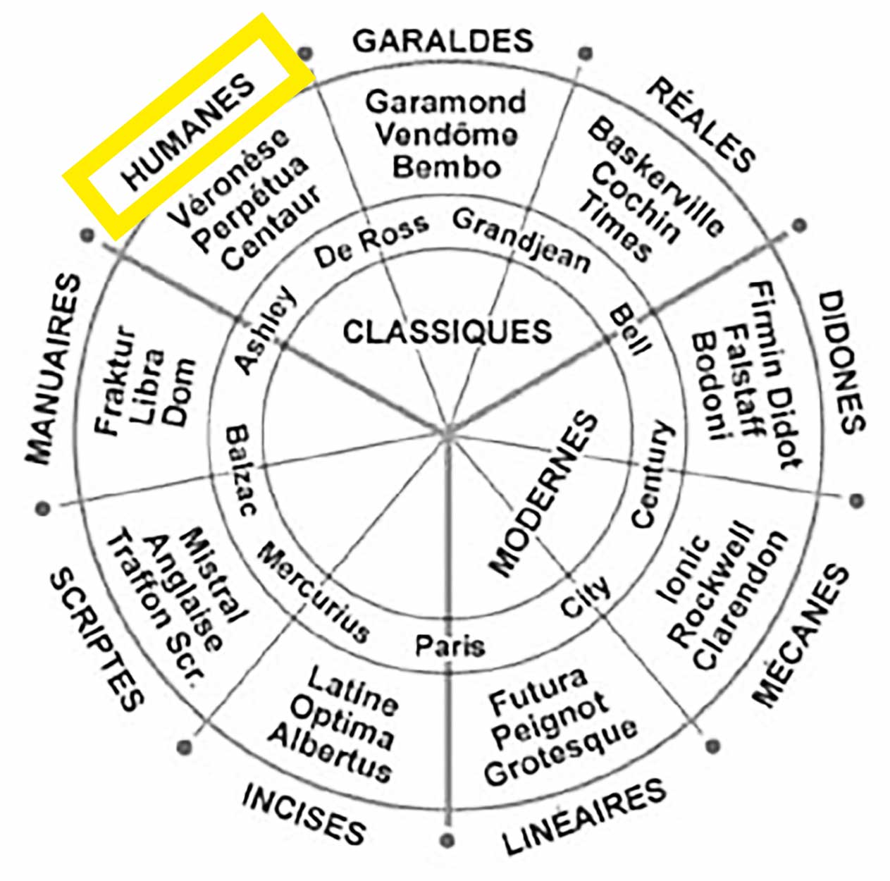 Schéma des humanes dans la classification de Maximilien Vox