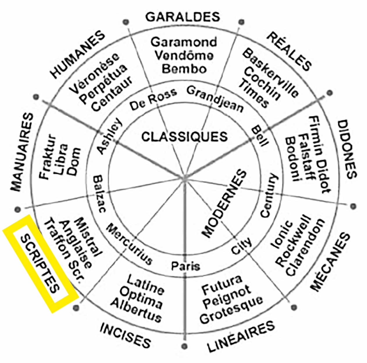 la roue de classification vox polices scriptes