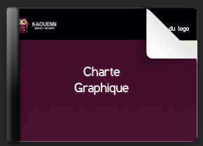 Fichier PDF complet charte graphique Kaouenn sécurité Nantes