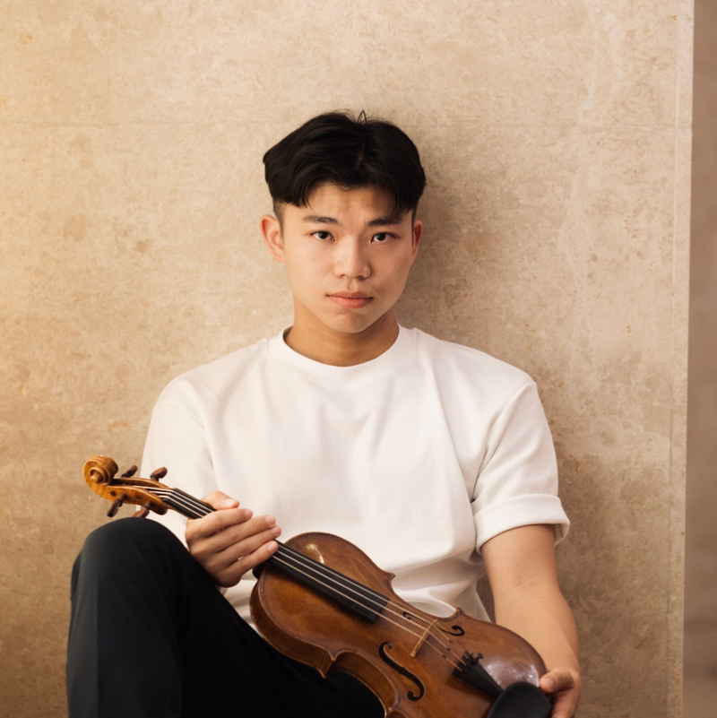 Violinist image