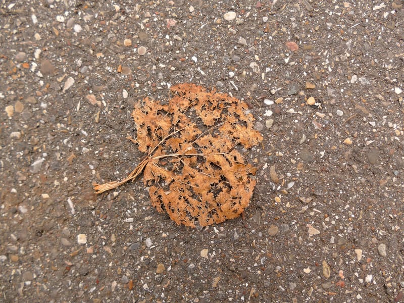 Événements difficiles