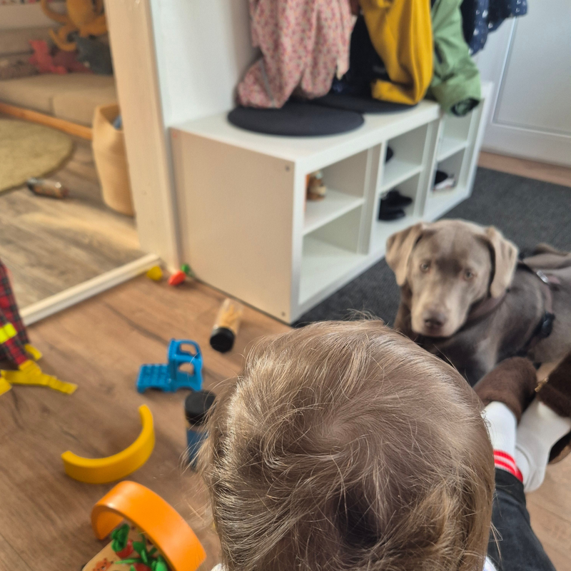Meine pädagogische Arbeit image