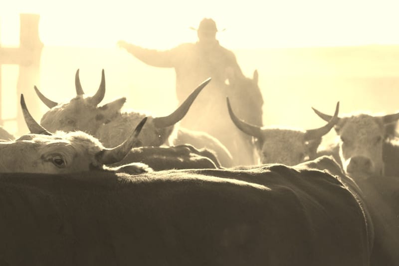 Embracing Faith through Life's Storms