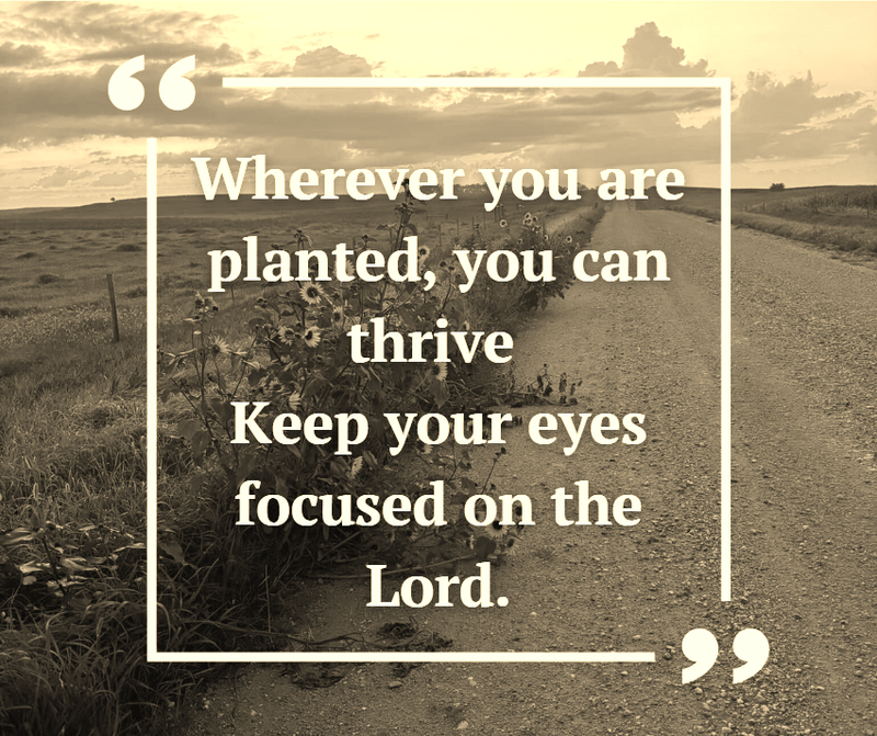 Wherever you are planted, you can thrive when you keep your eyes focused on the Lord.