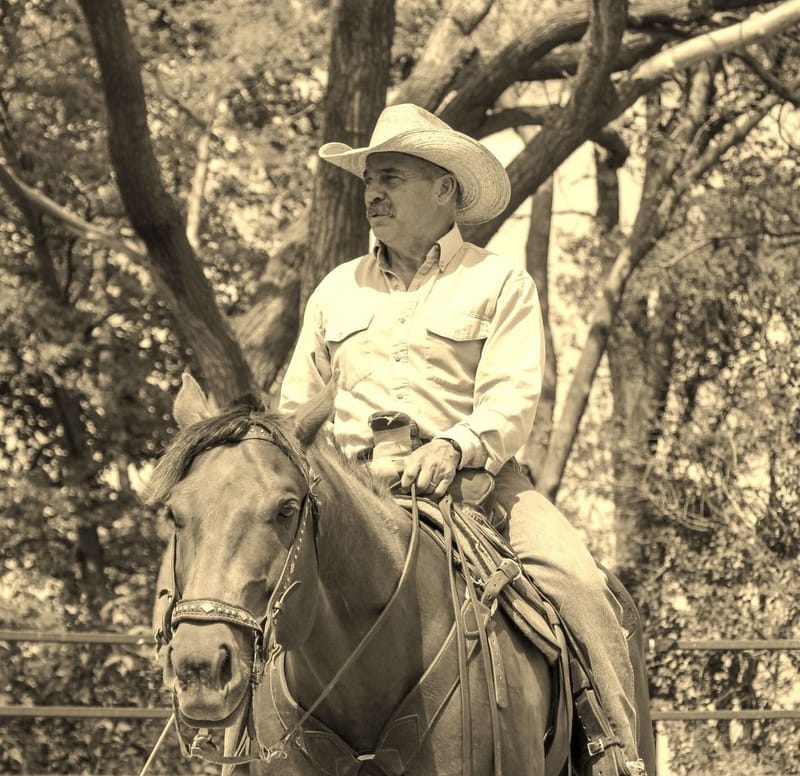 Tad Enck: Embracing God's Grace Through Horses and Life