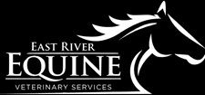 Gold Sponsor  East River Equine