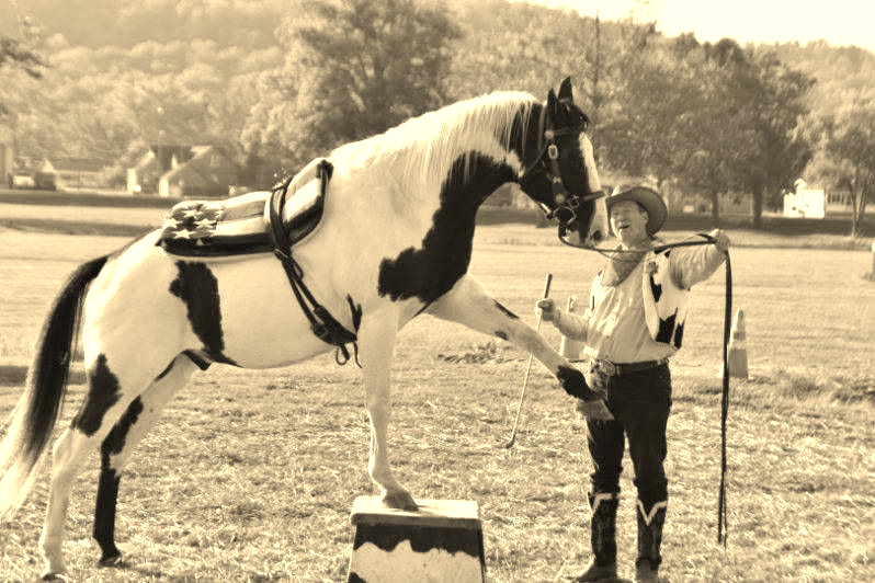 Faith Conversation with Sarah Rose and Dave Davis: Inspiring Faith, Horses, and Christian Ministry