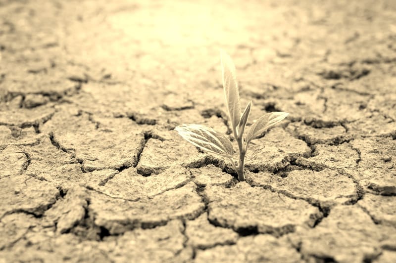 DON’T LET YOUR CIRCUMSTANCES DISTRACT YOU FROM RECOGNIZING GOD'S ABILITY TO PROVIDE AND FULFILL OUR NEEDS