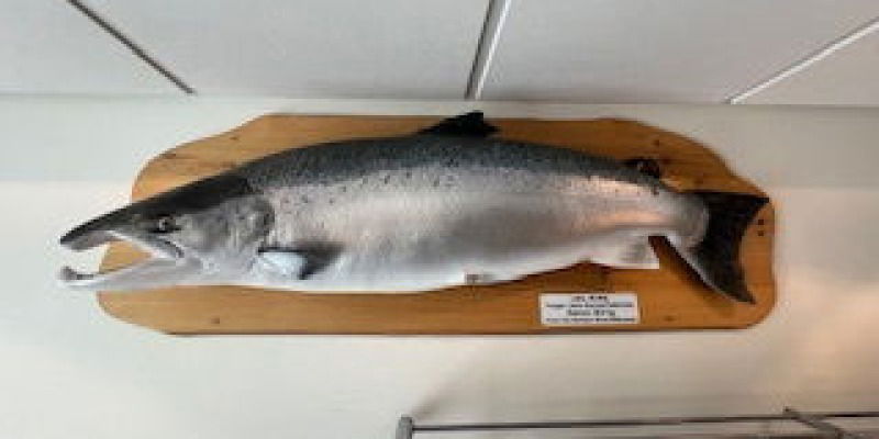 Les Fjords - J 10 - NORVÈGE