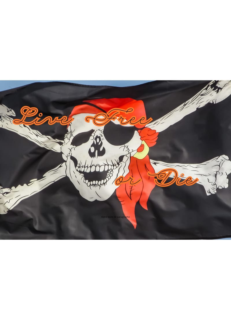 AHERLOW - Le dernier pirate et les frères de la côte