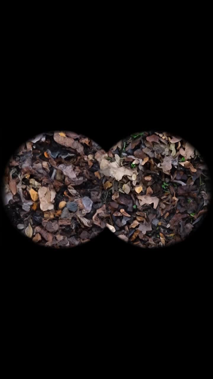 Edge Ceramic Camo 2024