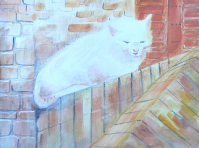 cat nap