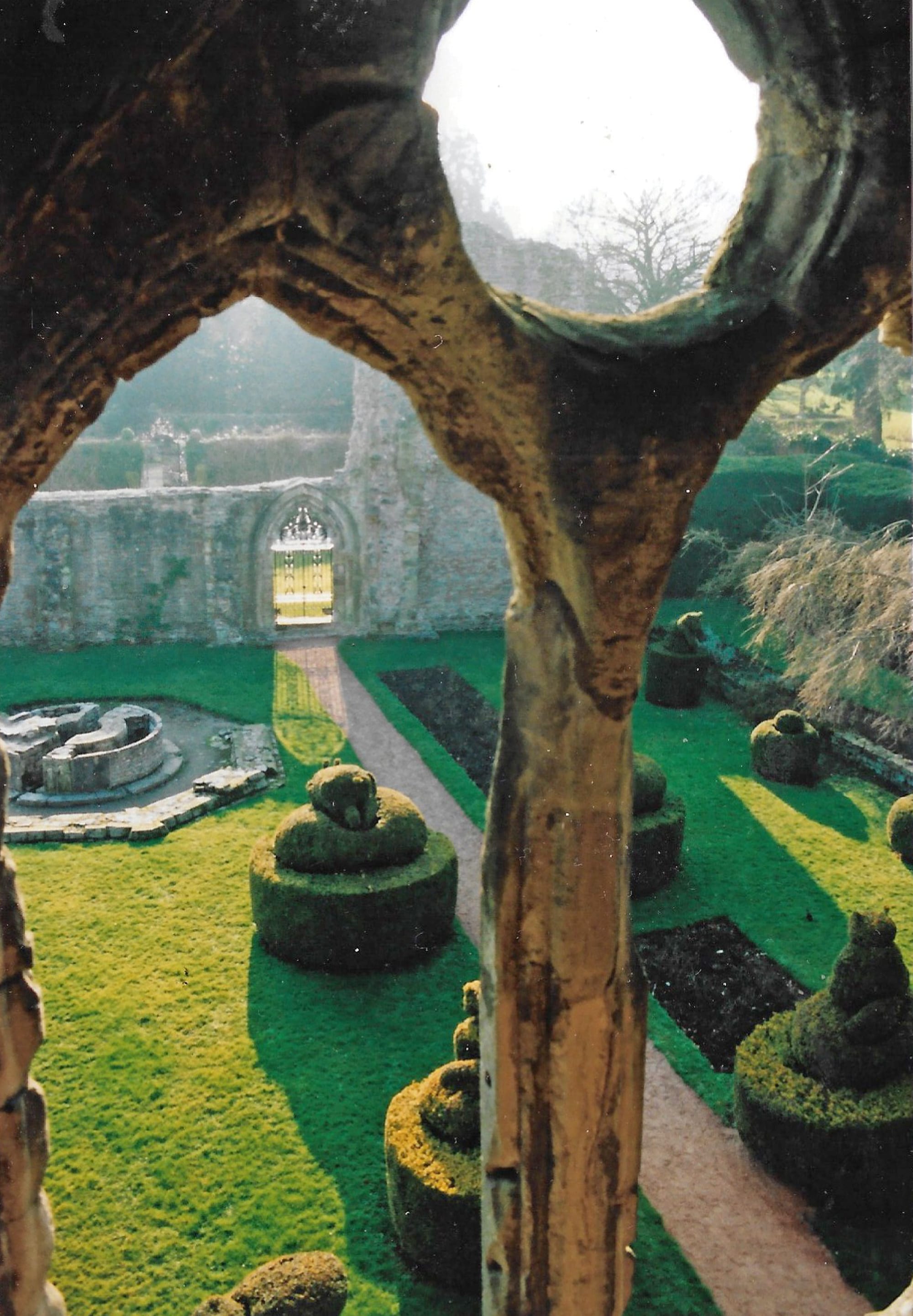 A winter garden