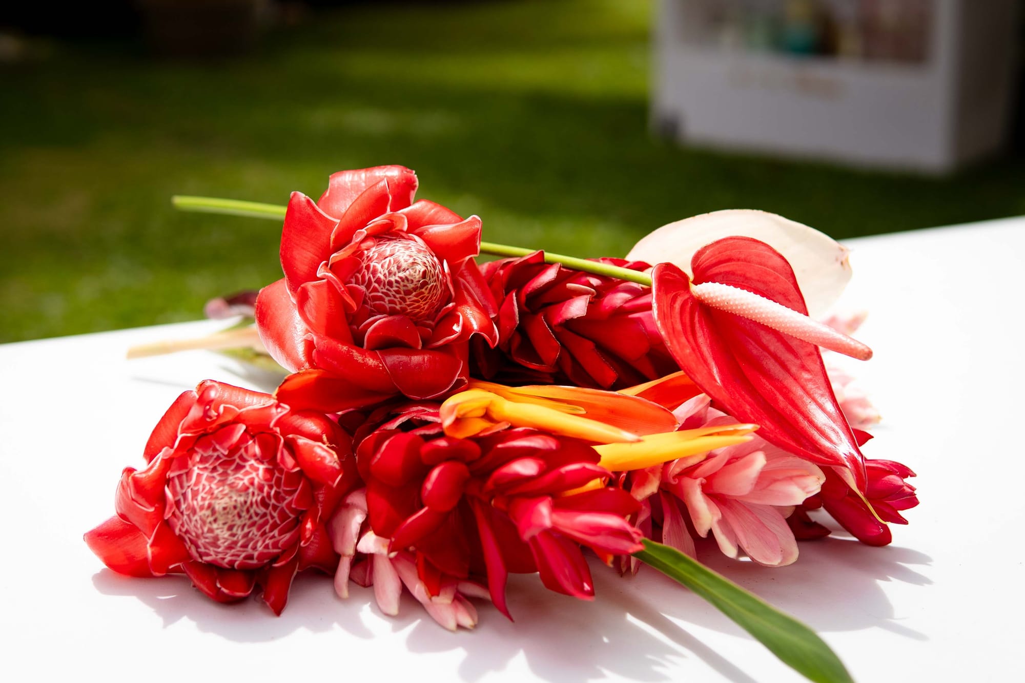 Marie & Sébastien : Une Promesse Portée par les Alizés