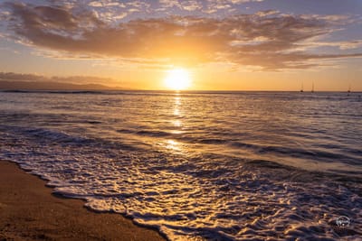 Les spots incontournables de Guadeloupe pour votre séance photo lifestyle, en couple ou en famille.