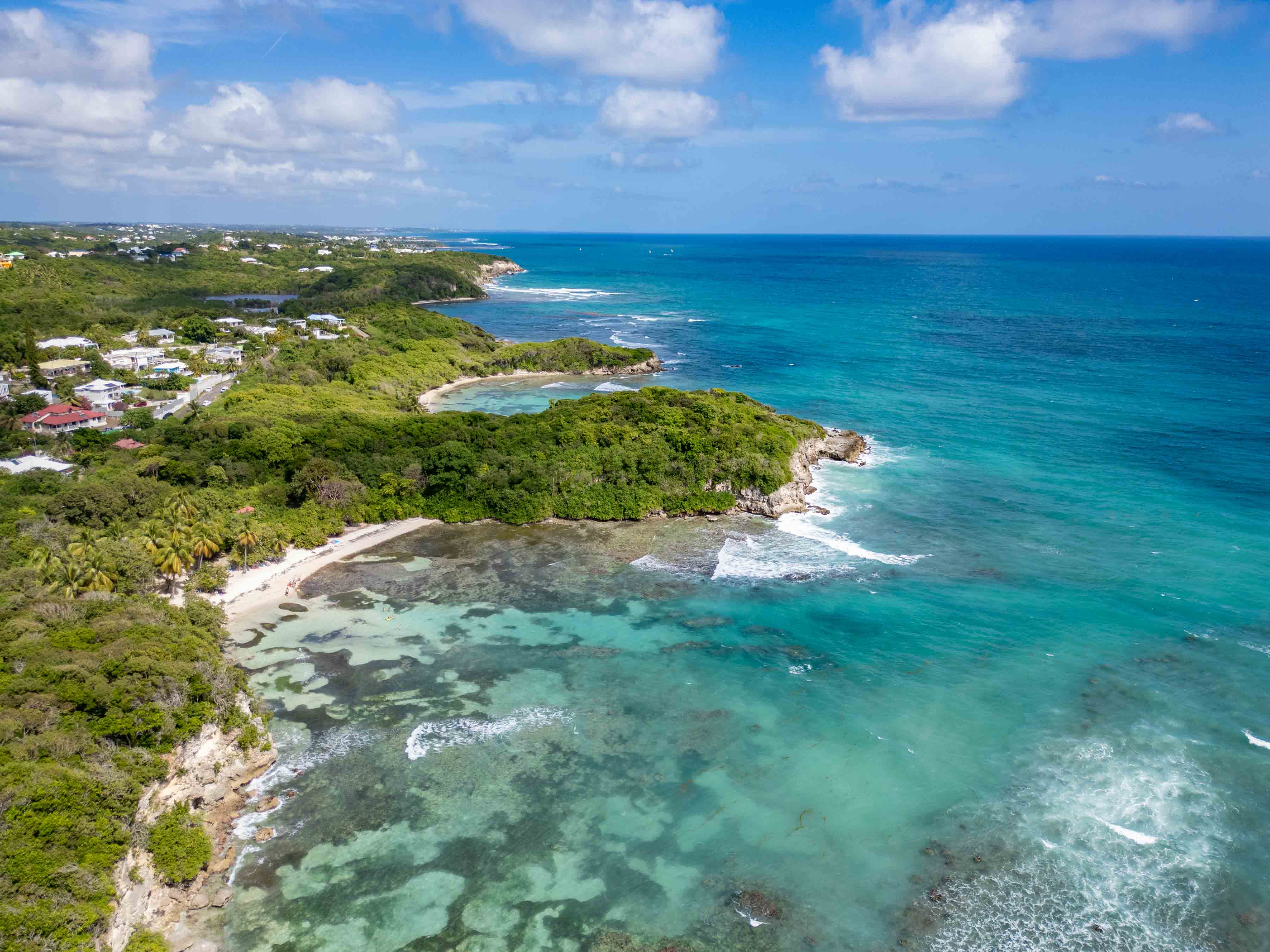 Bursts of Laughter in Petit-Havre
