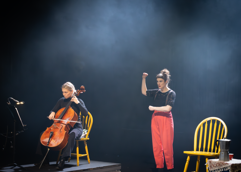 Stills from various concerts and recitals