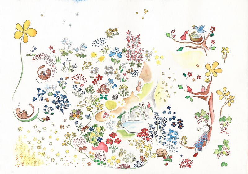 The summer drawing / Sumarmyndin