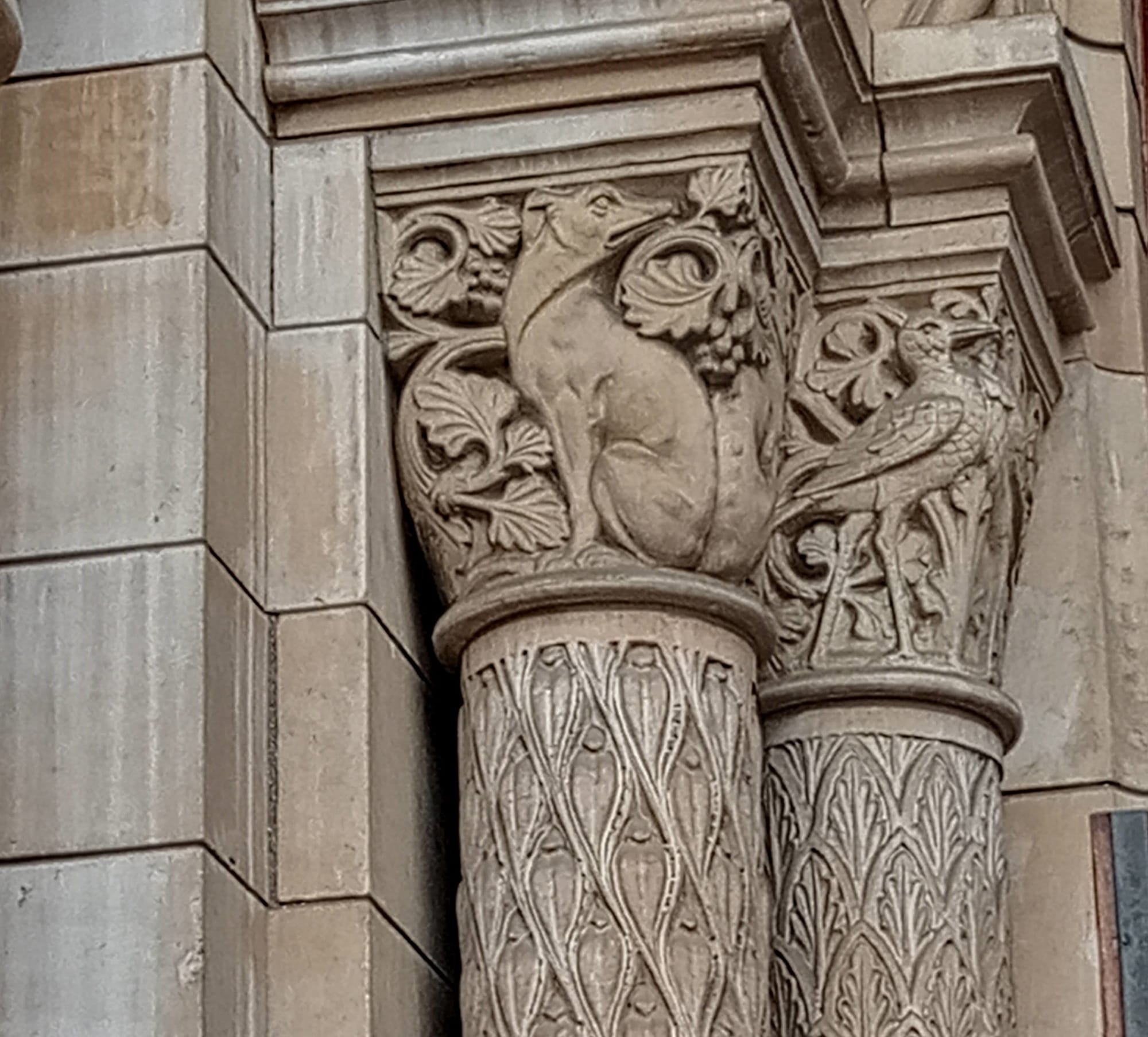 Alfred Waterhouse's Great Cormorants