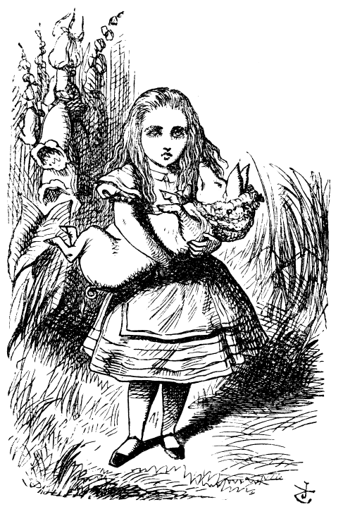 ALICE NEL PAESE DELLE MERAVIGLIE