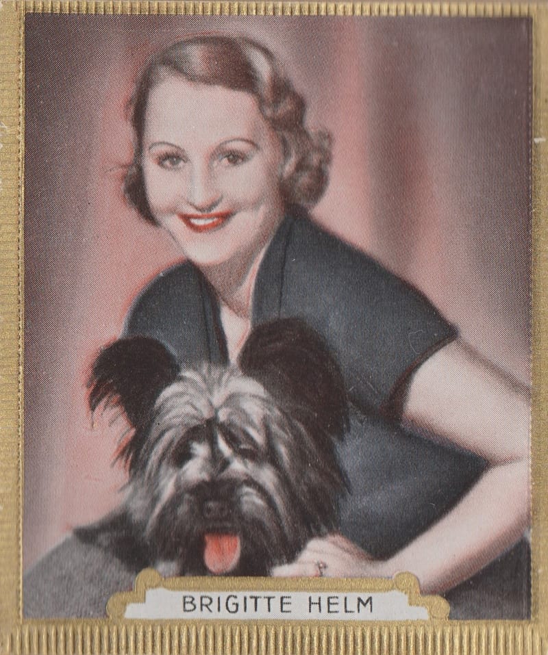 Haus Bergmann Die Bunte Welt Des Films (1934)