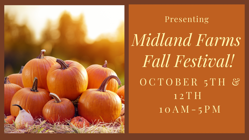 Midland Farms Fall Festival October 12th