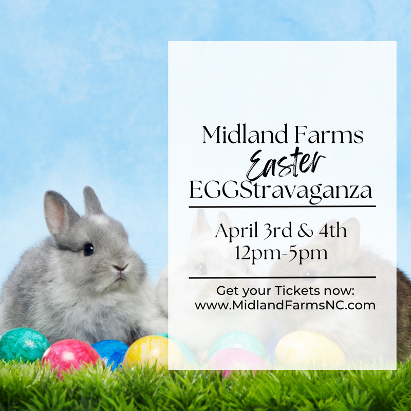 Midland Farms Easter EGGStravaganza