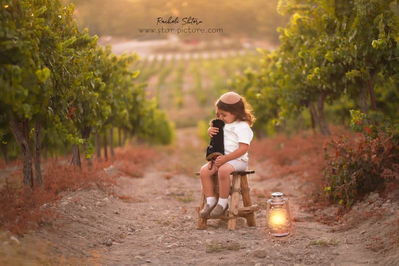 הטוהר הזה של הבונבון שבגזירת תלתל נהיה גבר קטן