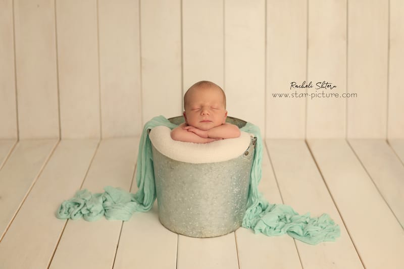 מנטה ירקרק- אצילות ואומנות