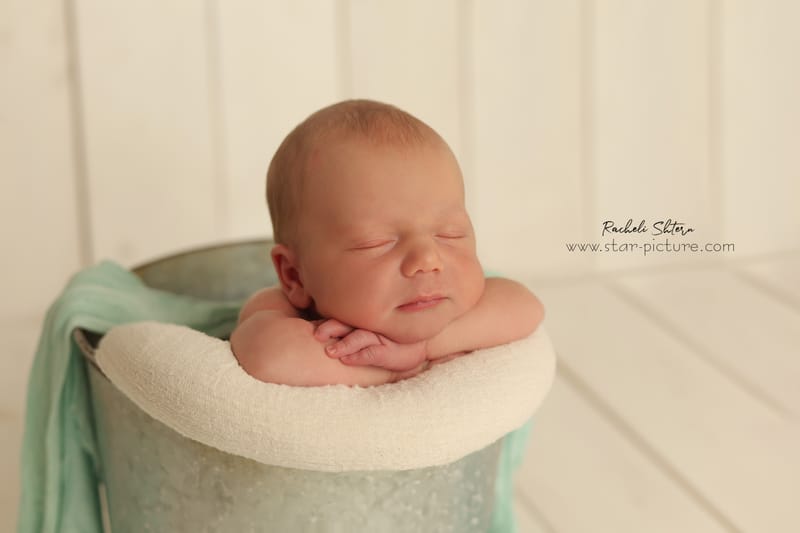 מנטה ירקרק- אצילות ואומנות