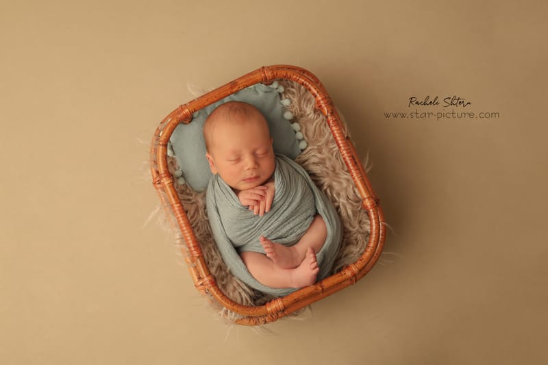 מנטה ירקרק- אצילות ואומנות