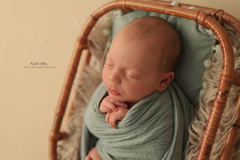 מנטה ירקרק- אצילות ואומנות